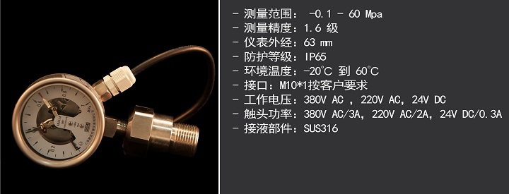 出口型-就地顯示/不銹鋼電接點壓力表YXC-60h